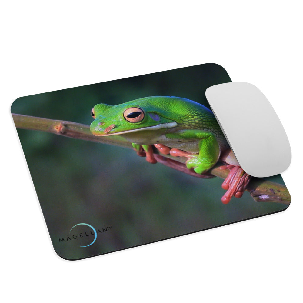 Frog Mouse pad – MagellanTV Merch